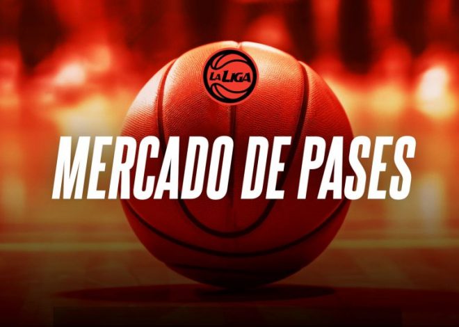 Liga Nacional 24-25: Planteles actualizados – 1° parte
