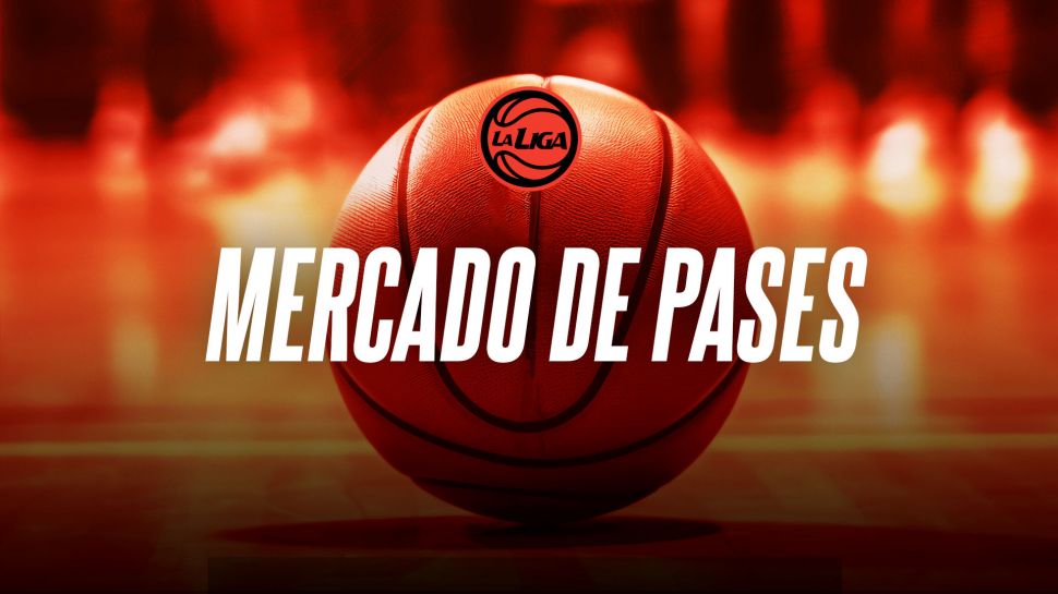 Liga Nacional 24-25: Planteles actualizados – 1° parte