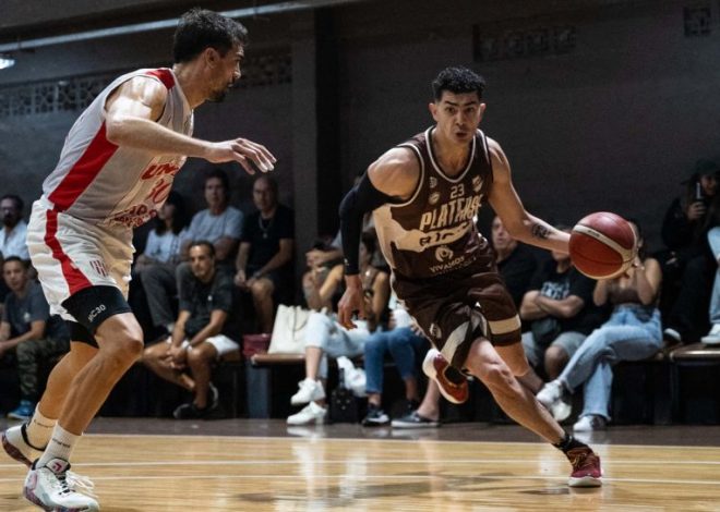 Calamar gigante