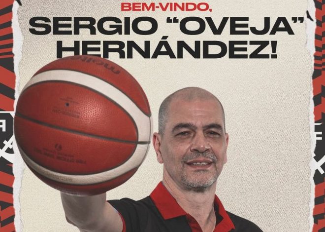 ¡Vuelve a dirigir Oveja!
