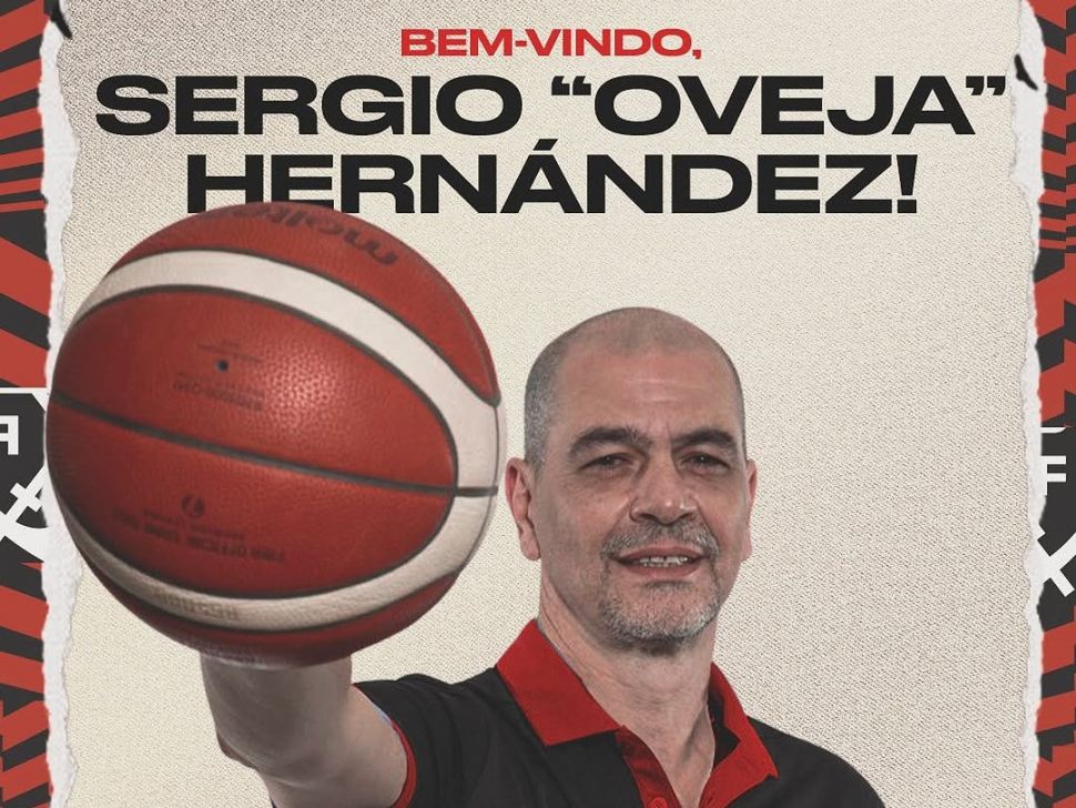 ¡Vuelve a dirigir Oveja!