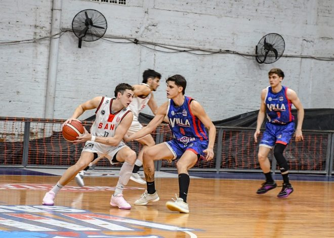 Halcón de semis