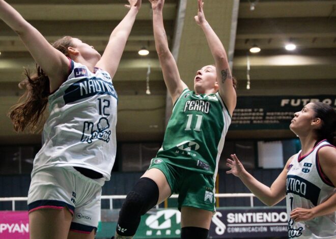 Ferro, sin freno